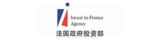 法國(guó)政府投資部